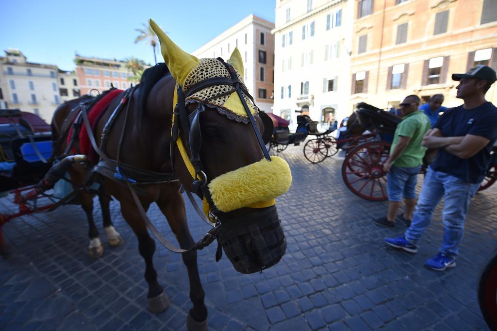Bed & Breakfast Al Centro Storico Di 3*